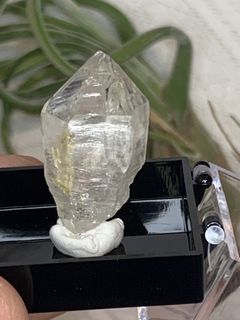 （分類：）位於 。 由 crystal_tree_99 提交（商品編號 1464804414，圖片 1）。簡介： 。
