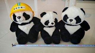 （分類：）位於 。 由 2018ylee 提交（商品編號 1459398764，圖片 1）。簡介： 。