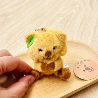 （分類：）位於 。 由 happyyytodealll 提交（商品編號 1459423320，圖片 1）。簡介： 。