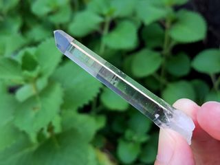 由 Sunbowforest (刊登 ID 1459338985，圖片 1) 提交，位於 的 (類別：)，說明：。