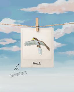 (Category: ) located in . Submitted by soaring_skies (Listing ID 1459347674, Image 1). Description: .