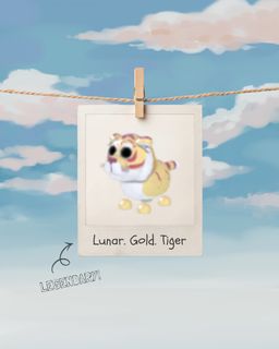 (Category: ) located in . Submitted by soaring_skies (Listing ID 1459369424, Image 1). Description: .