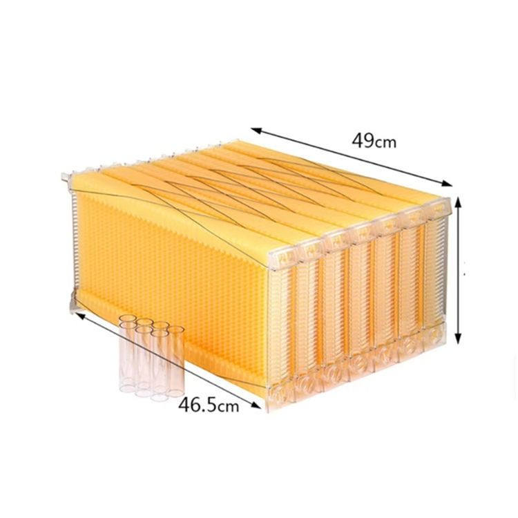 Automatic Beehive Honey Frame for Beekeeping (Category: Frames & Pictures) located in Muntinlupa City. Submitted by EarlyShop.ph (Listing ID 1459415834, Image 2). Description: - Automatic honey frame for efficient beekeeping. - Dimensions: Approximately 49cm x 46.5cm. - Features small tubes for honey extraction or feeding. - Simplifies beehive management and honey harvesting. - Easy to assemble and use. 6x box available if take all free na yung B