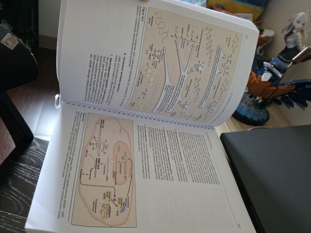BIOCHEMISTRY BOOK (Category: Textbooks) located in Santo Tomas. Submitted by kendra_04 (Listing ID 1459347288, Image 2). Description: only bought for my chem review .