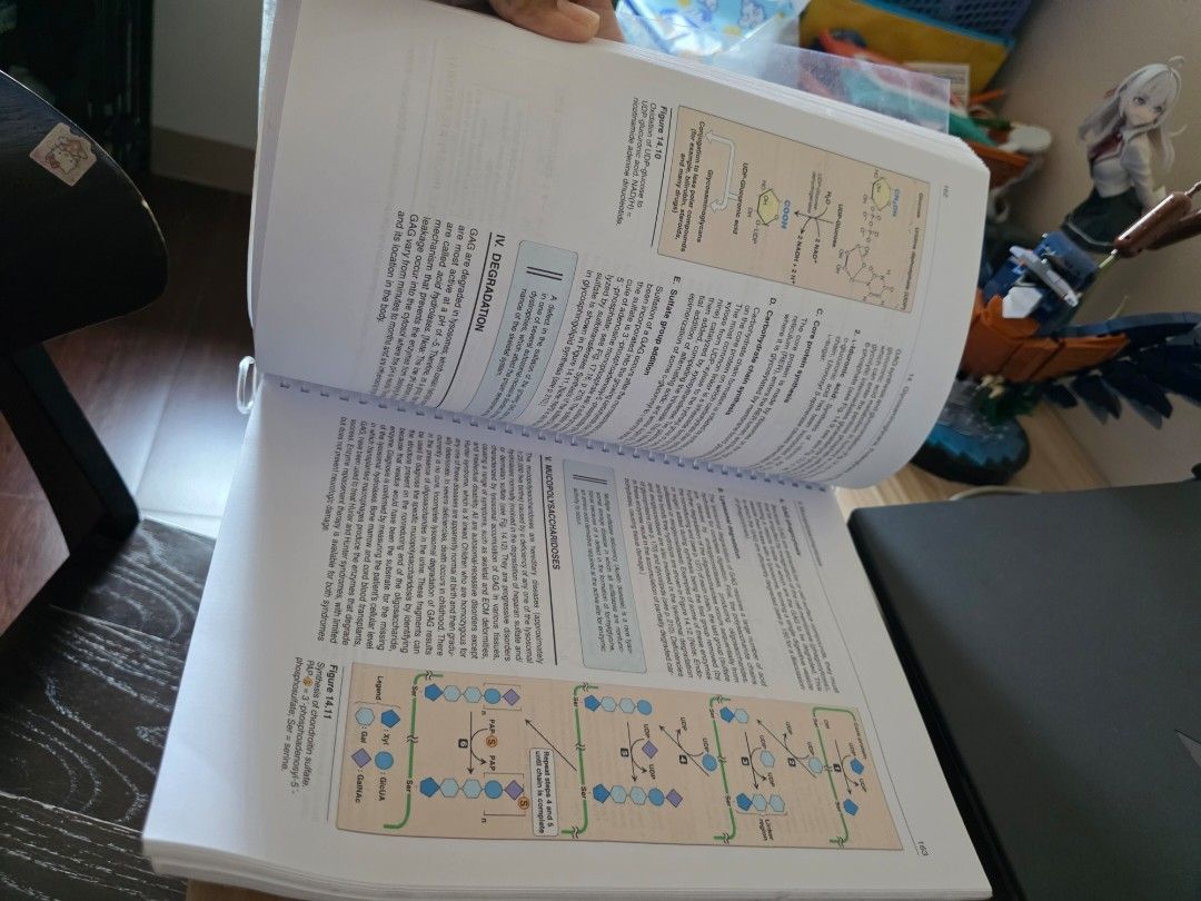 BIOCHEMISTRY BOOK (Category: Textbooks) located in Santo Tomas. Submitted by kendra_04 (Listing ID 1459347288, Image 3). Description: only bought for my chem review .
