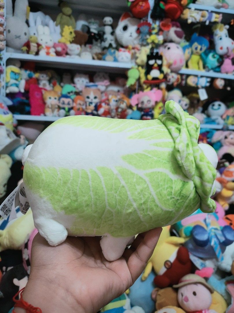 Cabbage Dog Tounge Out Plushie (Category: Plushies & Soft Toys) located in Antipolo. Submitted by bhabiegraciefashionlab (Listing ID 1459386374, Image 2). Description: #cabbagedogplush #dogplushie #Vegetabledogplush #japanstuffedtoy.