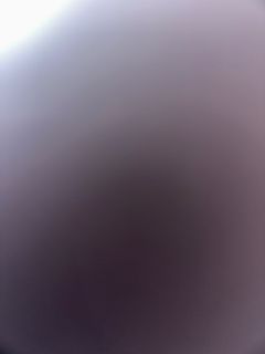 (Category: ) located in . Submitted by maskbunny (Listing ID 1459397437, Image 1). Description: .