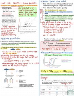 （分類：）位於 。 由 hku.biochem.notes 提交（商品編號 1459374500，圖片 1）。簡介： 。