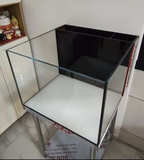 (Category: ) located in . Submitted by swofy (Listing ID 1457456314, Image 1). Description: .