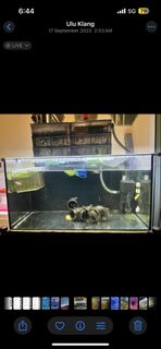 (Category: ) located in . Submitted by goh32517 (Listing ID 1459390488, Image 1). Description: .