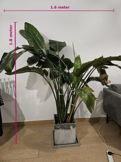 （分類：）位於 。 由 ryanhultz95029 提交（商品編號 1459411857，圖片 1）。簡介： 。
