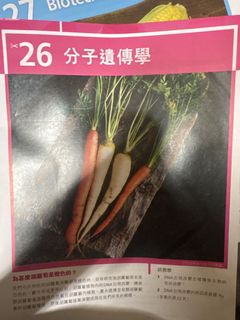 （分類：）位於 。 由 gingersmoon 提交（商品編號 1459447516，圖片 1）。簡介： 。