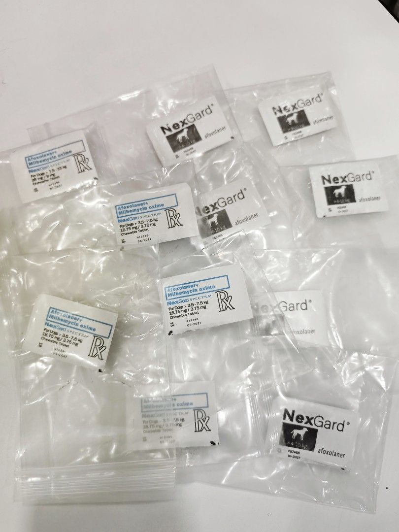 NexGard Tablets (Category: Homes & Other Pet Accessories) located in Quezon City. Submitted by odiecs (Listing ID 1459393345, Image 1). Description: NexGard Spectra Tablets for dogs Tick and Flea defense with Sticker Tablet Exp Date: 2027 Loc: Quezon City.