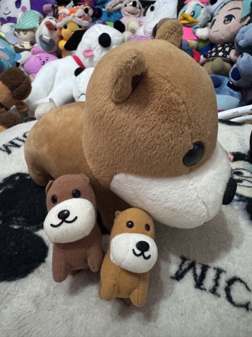 San X Green Camel Afro Ken Plushies Bundle Set (Category: Plushies & Soft Toys) located in Antipolo. Submitted by bhabiegraciefashionlab (Listing ID 1459393207, Image 2). Description: Selling as Set of 3 Extra Small + Small + Large Size All authentic , Clear Etiketa Good as New From Japan #sanx #afroken #afroken #japanstuffedtoys #sanxgreencamel.