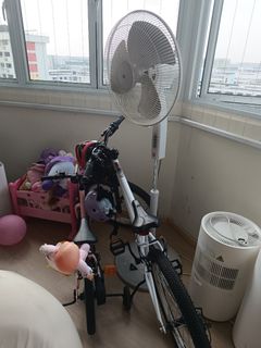 (Category: ) located in . Submitted by andrea.ying (Listing ID 1459291263, Image 1). Description: .
