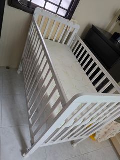 (Category: ) located in . Submitted by reneesfloral (Listing ID 1459448932, Image 1). Description: .
