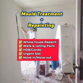 Anti Mould Treatment  收藏品 1