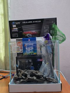 (Category: ) located in . Submitted by klboy2026 (Listing ID 1459136819, Image 1). Description: .