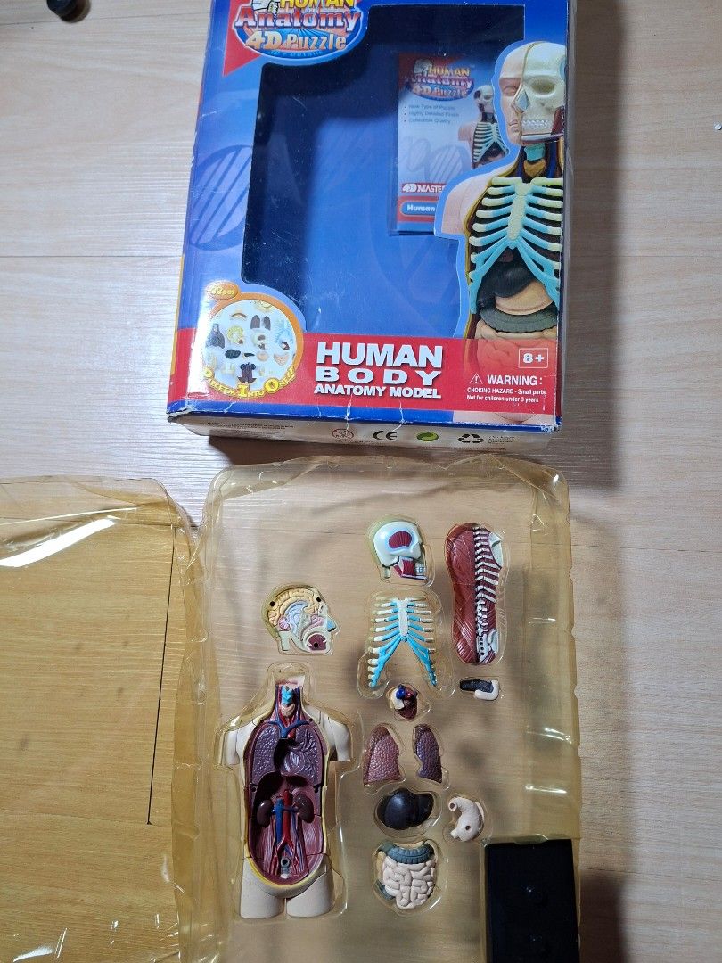 4D Master Human Body Anatomy Model 32pcs Puzzle (Category: Medical Supplies & Tools) located in Baguio. Submitted by restyrille77846 (Listing ID 1465111991, Image 2). Description: - Educational 4D Master human body anatomy puzzle set - Features 32 detailed pieces: organs, skeleton, skull, brain, and torso model - Brand new and unplayed, complete in original molded tray and packaging - Box has slight storage wear, but all pieces are in pristine co