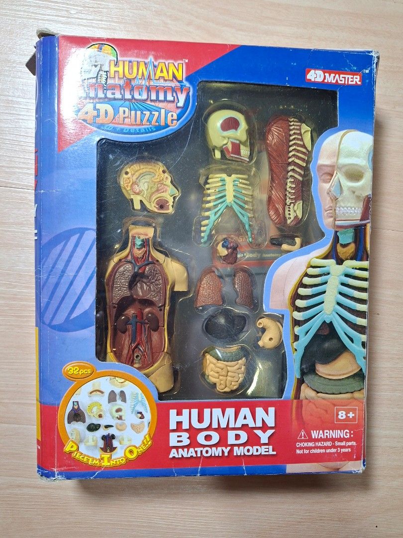 4D Master Human Body Anatomy Model 32pcs Puzzle (Category: Medical Supplies & Tools) located in Baguio. Submitted by restyrille77846 (Listing ID 1465111991, Image 1). Description: - Educational 4D Master human body anatomy puzzle set - Features 32 detailed pieces: organs, skeleton, skull, brain, and torso model - Brand new and unplayed, complete in original molded tray and packaging - Box has slight storage wear, but all pieces are in pristine co