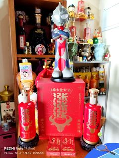 （分類：）位於 。 由 vvvn2021 提交（商品編號 1465100823，圖片 1）。簡介： 。