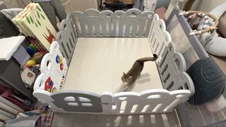（分類：）位於 。 由 yyoolf 提交（商品編號 1465042434，圖片 1）。簡介： 。
