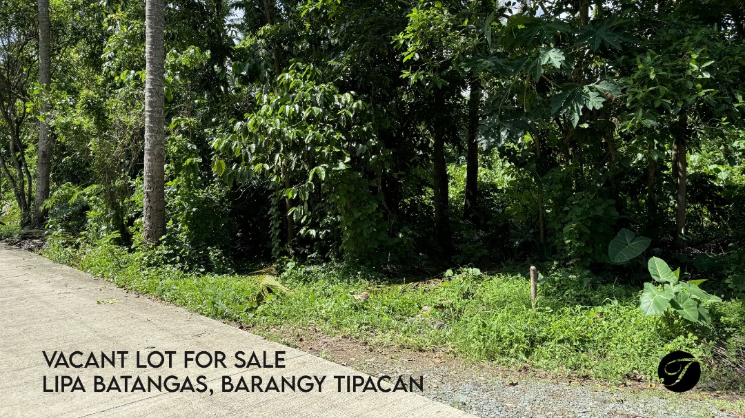 (Category: ) located in . Submitted by terraverusph (Listing ID 1464980812, Image 1). Description: .