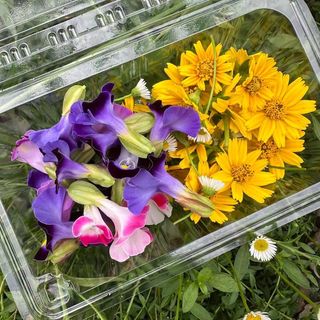 （分類：）位於 。 由 _delightgarden 提交（商品編號 1464975737，圖片 1）。簡介： 。