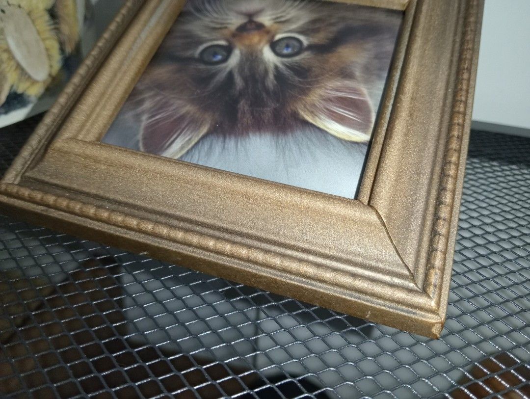 F1: (FREE SF) CAT PRINT FRAME (Category: Frames & Pictures) located in Kawit. Submitted by gieclutter (Listing ID 1464969309, Image 3). Description: Flakers and joy reservers are 𝗻𝗼𝘁 𝗮𝗹𝗹𝗼𝘄𝗲𝗱 Actual photos, sized precisely Verify the item's dimensions first All sales are final—no returns, exchanges, or refunds 𝗖𝗢𝗡𝗗𝗜𝗧𝗜𝗢𝗡: ・𝗔𝗦 𝗜𝗦 ・dents, nicks, gouges, minor scratches 𝗟𝗢𝗖𝗔𝗧𝗜𝗢𝗡: Kawit, Cavite 𝗠𝗢𝗣: 𝗣𝗙/NO COD Item pr