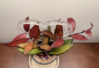 (Category: ) located in . Submitted by xingzzzz (Listing ID 1465109938, Image 1). Description: .