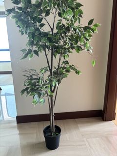 (Category: ) located in . Submitted by maitri27 (Listing ID 1465008518, Image 1). Description: .