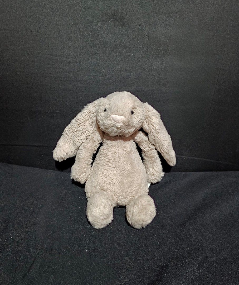 Jelly Cat Bashful Bunny Plush Mascot (Category: Plushies & Soft Toys) located in Compostela. Submitted by buenaflora04681 (Listing ID 1465104172, Image 1). Description: .