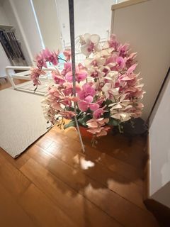 (Category: ) located in . Submitted by likenew1 (Listing ID 1465003050, Image 1). Description: .