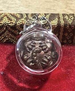 (Category: ) located in . Submitted by syrianpetstore (Listing ID 1465067068, Image 1). Description: .