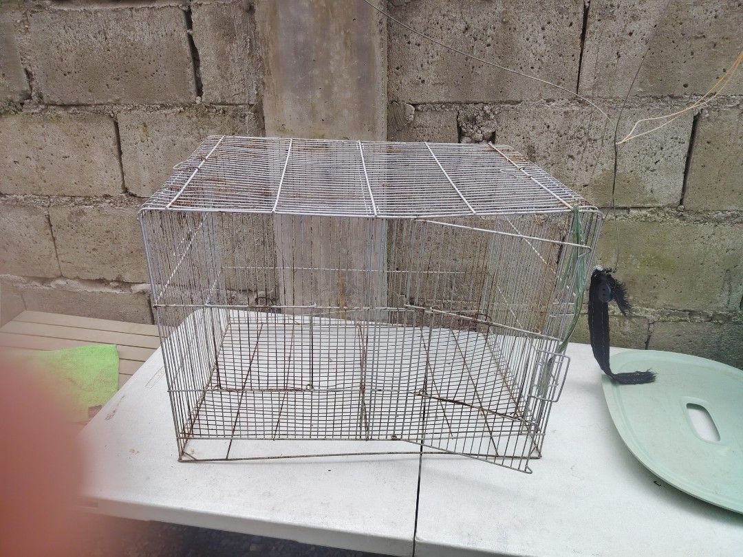 Bird cage small no poop tray (Category: Home Improvement Tools & Accessories) located in Makati City. Submitted by cess_preloved (Listing ID 1464977246, Image 3). Description: - Type: Rectangular metal wire pet cage - Features: Grid flooring, secure front door with latch closure - Condition: Sturdy and functional, with some rust spots from previous use - Maintenance: Needs a quick wash/scrub before use - Ideal for: Small pets or birds - Rall: Bud