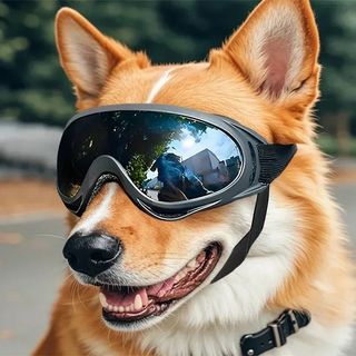 （分類：）位於 。 由 vindisand964985 提交（商品編號 1465050776，圖片 1）。簡介： 。