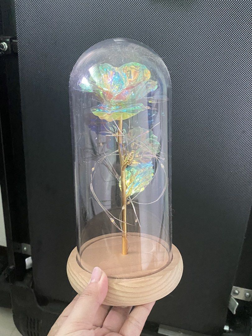 Rose Dome with LED Lights (Category: Vases & Decorative Bowls) located in Makati City. Submitted by declutter_saleeeee (Listing ID 1465006558, Image 1). Description: Needs 3 triple A batteries (will add freebies) No issues.