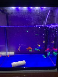 (Category: ) located in . Submitted by mrzaba (Listing ID 1465037425, Image 1). Description: .