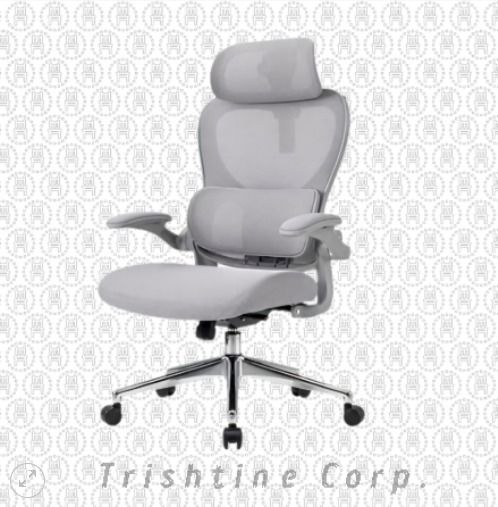 TEX-287 | Mesh Executive Chair w/ headrest (Category: Office Furniture & Fixtures) located in Caloocan City. Submitted by jimtapitan_trishtinecorp. (Listing ID 1465014738, Image 1). Description: Made of mesh 360°swivel Chrome plated star-base Adjustable height & armrest Headrest Lumbar support Color: Black | Gray Dimension: L63cm x W56cm x H119cm DISCLAIMER: PRICE IS FOR POSTING PURPOSES ONLY.
