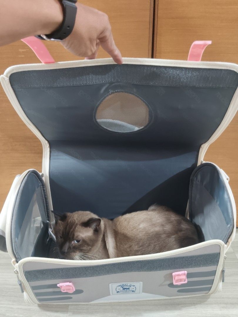 Touchcat Pet Carrier 18 Inch Gray (Category: Luggage) located in San Mateo. Submitted by roxyj120919 (Listing ID 1465158153, Image 3). Description: - Brand: Touchcat - Condition: Brand new with tag attached (never used) - Size: 18-inch - Color: Gray with cute pink straps - Ventilation: Mesh windows on sides and top flap - Details: Adorable cat paw prints on backpack straps and front logo patch.
