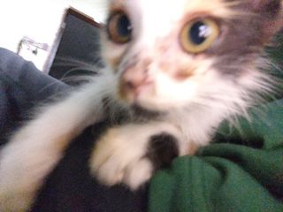 (Category: ) located in . Submitted by naxzz_ (Listing ID 1465165003, Image 1). Description: .