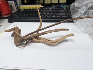 （分類：）位於 。 由 simply_life_ 提交（商品編號 1459531183，圖片 1）。簡介： 。
