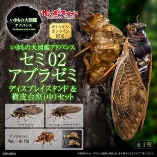 （分類：）位於 。 由 oneforallanimetoys 提交（商品編號 1459660937，圖片 1）。簡介： 。