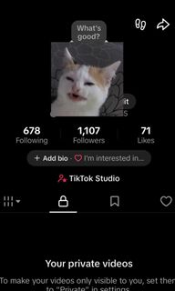 (Category: ) located in . Submitted by happyfox-c1d9 (Listing ID 1459513956, Image 1). Description: .