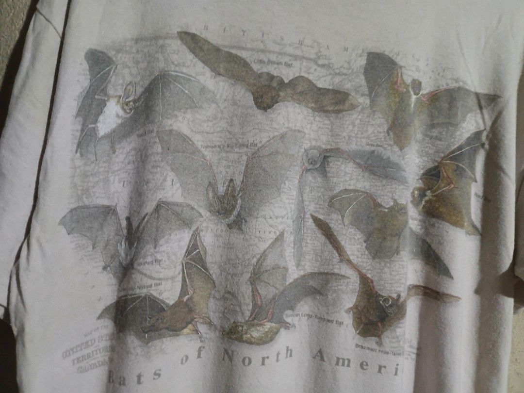 Animal tee (Category: Activewear) located in Manila. Submitted by lando271117 (Listing ID 1459624474, Image 2). Description: datails on picture.