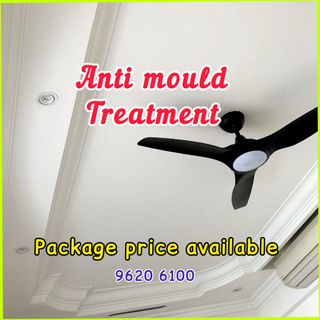 Anti-Mould Treatment  Collection item 1