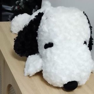 (Category: ) located in . Submitted by shherlll (Listing ID 1459618799, Image 1). Description: .