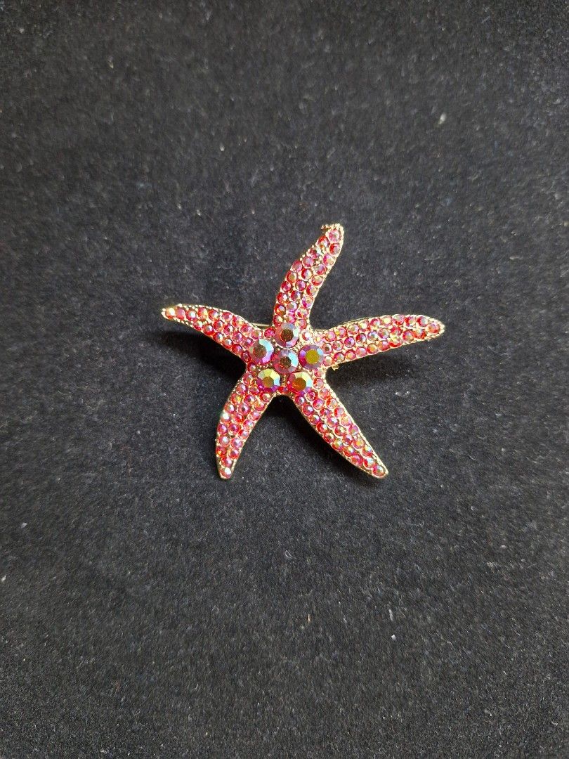 Blood Star Brooch (Category: Brooches) located in Taguig. Submitted by mommaschoice (Listing ID 1459584132, Image 1). Description: Brand new Unisex use Ships nationwide.