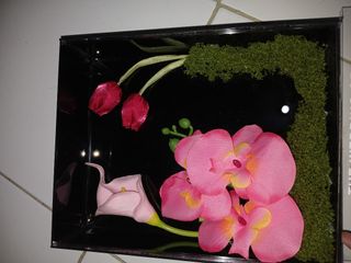 (Kategori: ) berada di . Dikirim oleh catsystuff (ID iklan 1459622005, Gambar 1). Deskripsi: .