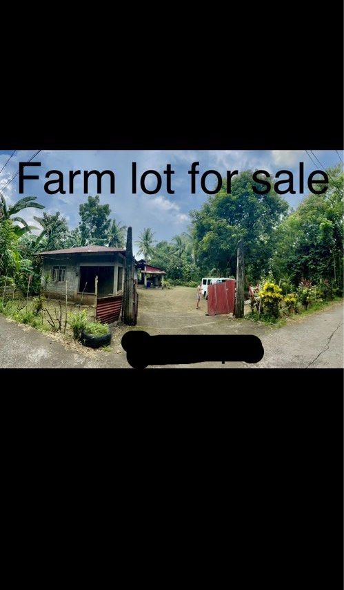 Farm lot for sale (Category: Lot) located in Manila. Submitted by ermenchita71969 (Listing ID 1376046934, Image 1). Description: 1390 sqm farm lot with lots of fruit bearing trees like rambutan, lanzones, mango, atis, coconut, guyabano & more. Accessible to all kinds of transportation. 5 minutes away from Sta. Maria municipal hall..